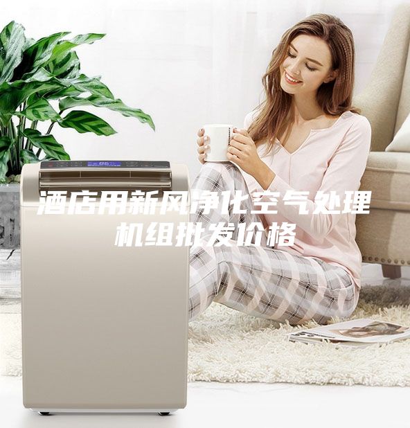 酒店用新風(fēng)凈化空氣處理機(jī)組批發(fā)價格