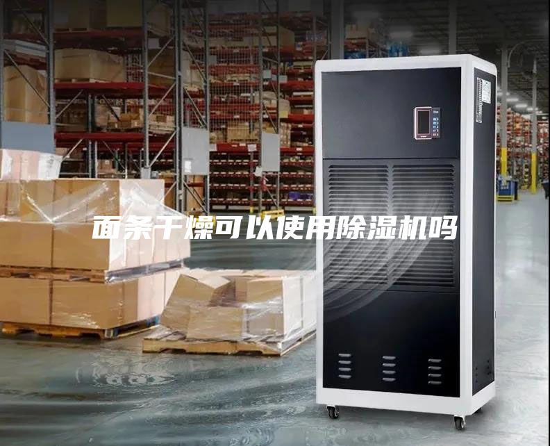 面條干燥可以使用除濕機嗎