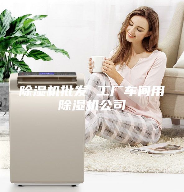 除濕機批發 工廠車間用除濕機公司