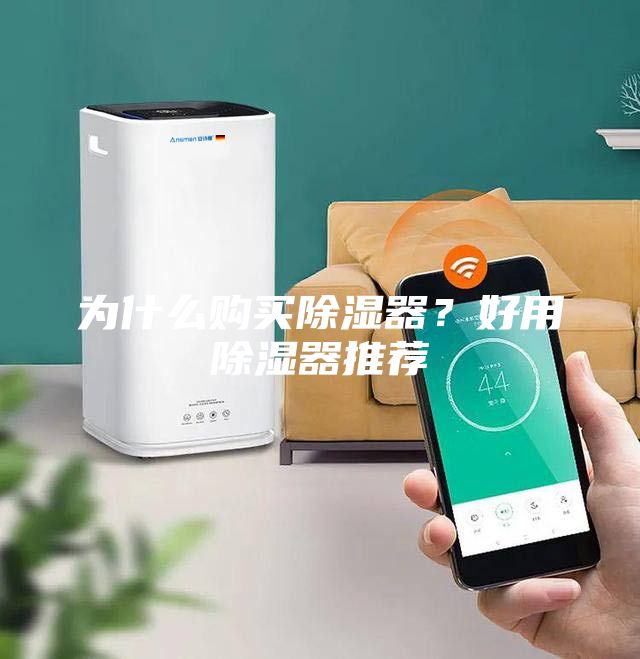 為什么購買除濕器？好用除濕器推薦