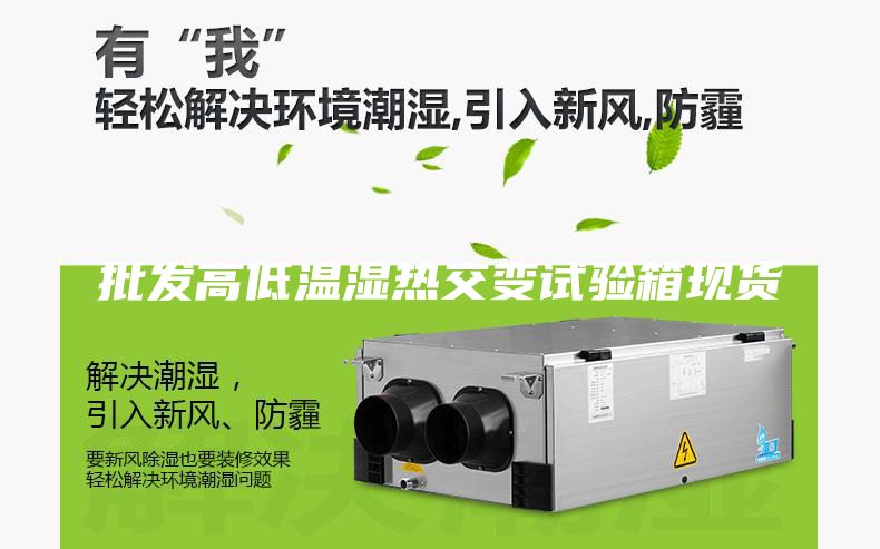 批發(fā)高低溫濕熱交變試驗(yàn)箱現(xiàn)貨
